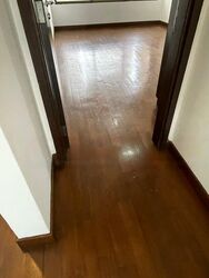 Espana (D11), Condominium #443162931